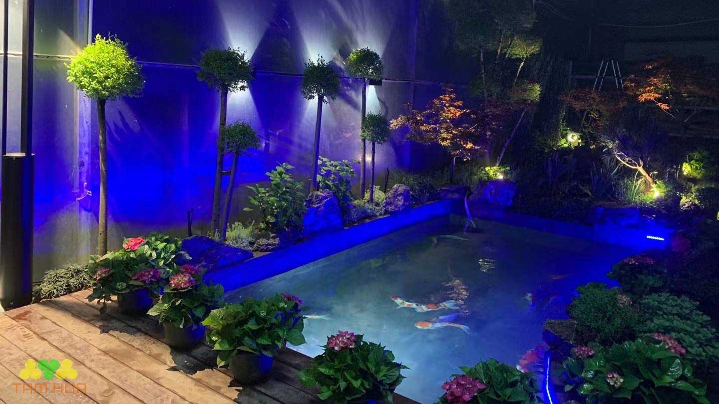 Hồ cá Koi sân vườn vẻ đẹp ban đêm