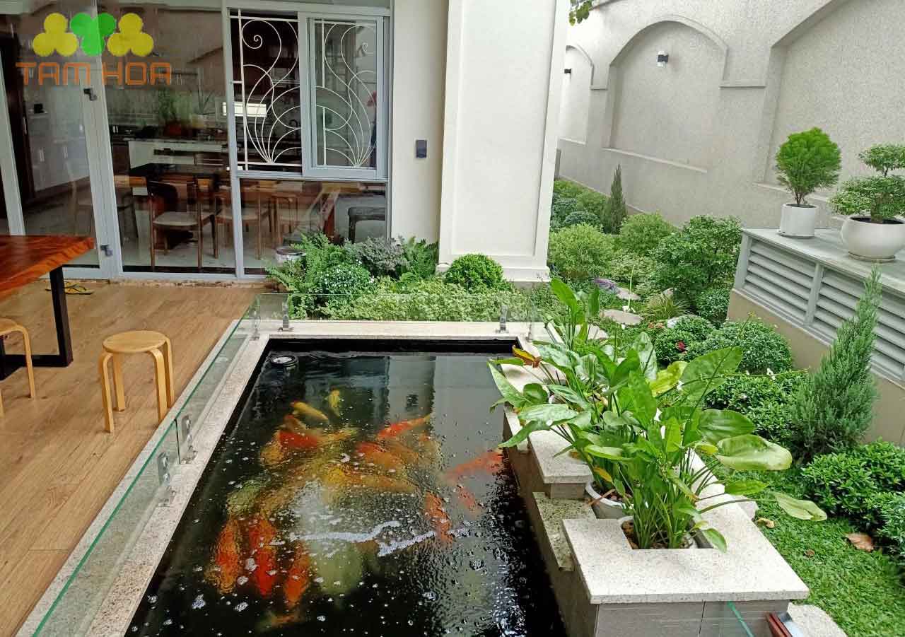 Hồ cá Koi sân vườn kết hợp không gian ăn