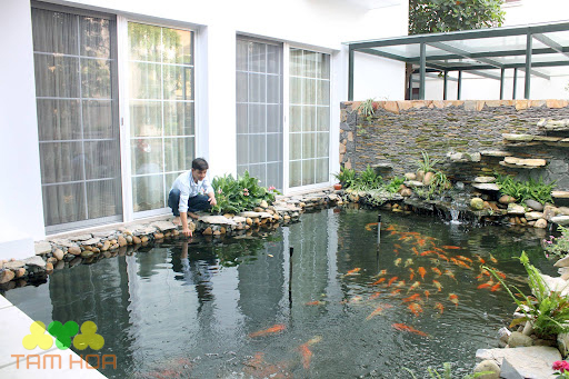 Mẫu hồ cá Koi sân thượng đẹp