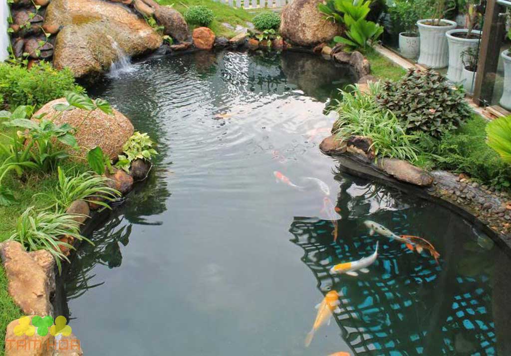 Hồ cá Koi sân thượng kết hợp thác nước