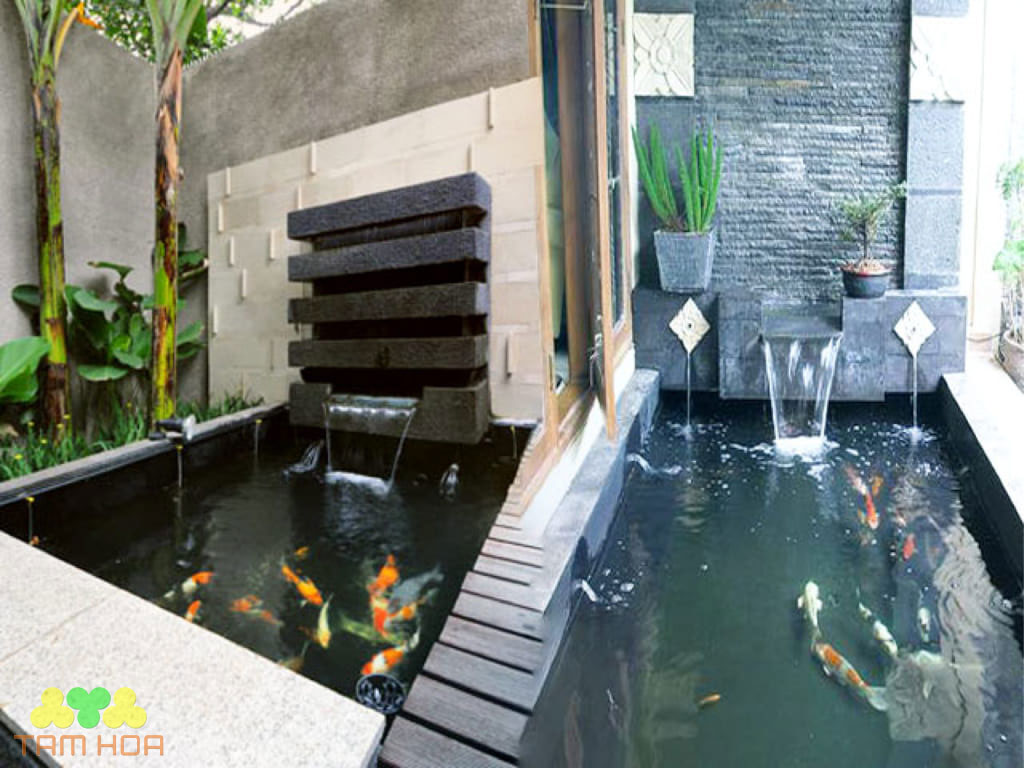 Hồ cá Koi sân thượng chi phí vừa