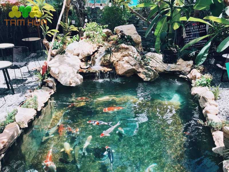 Hồ cá Koi sân thượng mang đến làn gió mát