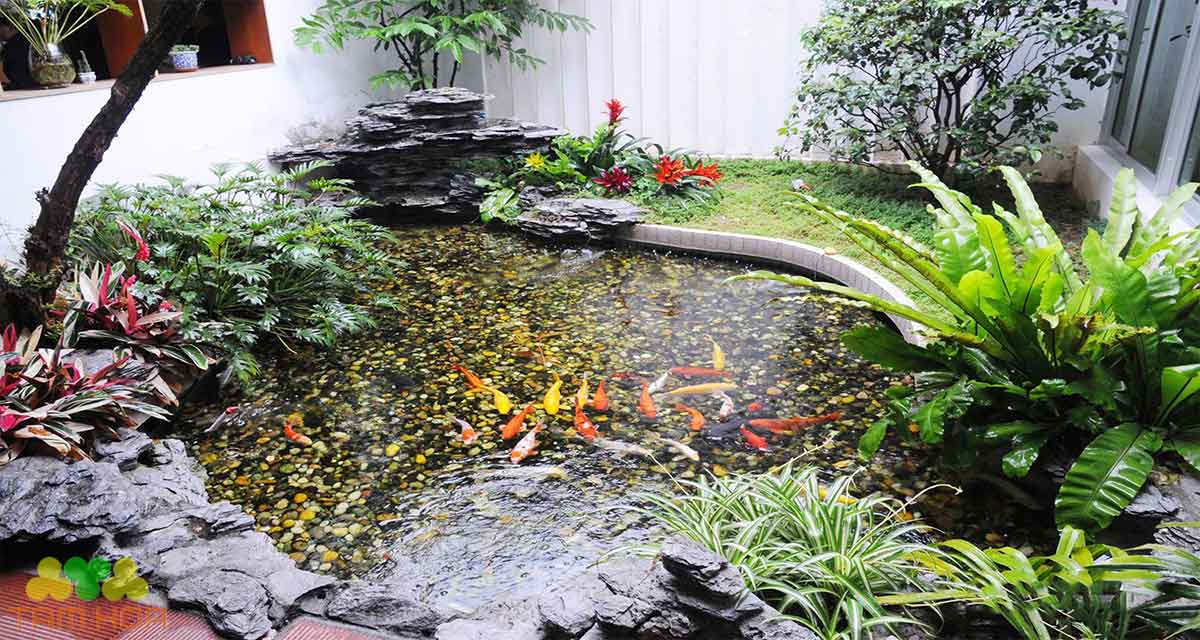 Hồ cá Koi sân thượng giúp giải tỏa căng thẳng