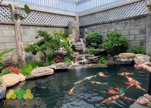 Hồ cá Koi sân thượng đem lại cảm giác vui vẻ