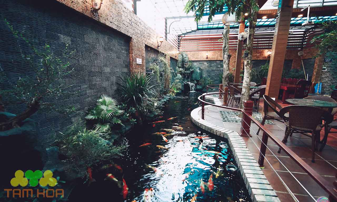 Hồ cá Koi sân thượng tạo view cho các bữa tiệc nhỏ