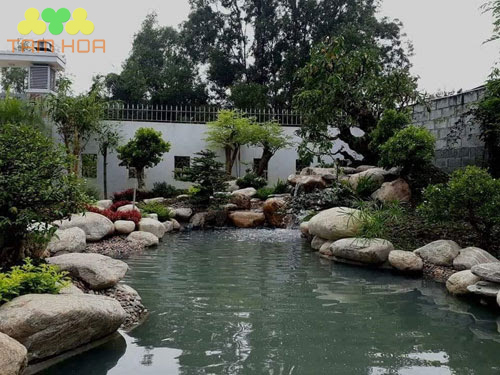Tiểu cảnh hồ cá Koi tạo cảnh quan sân vườn