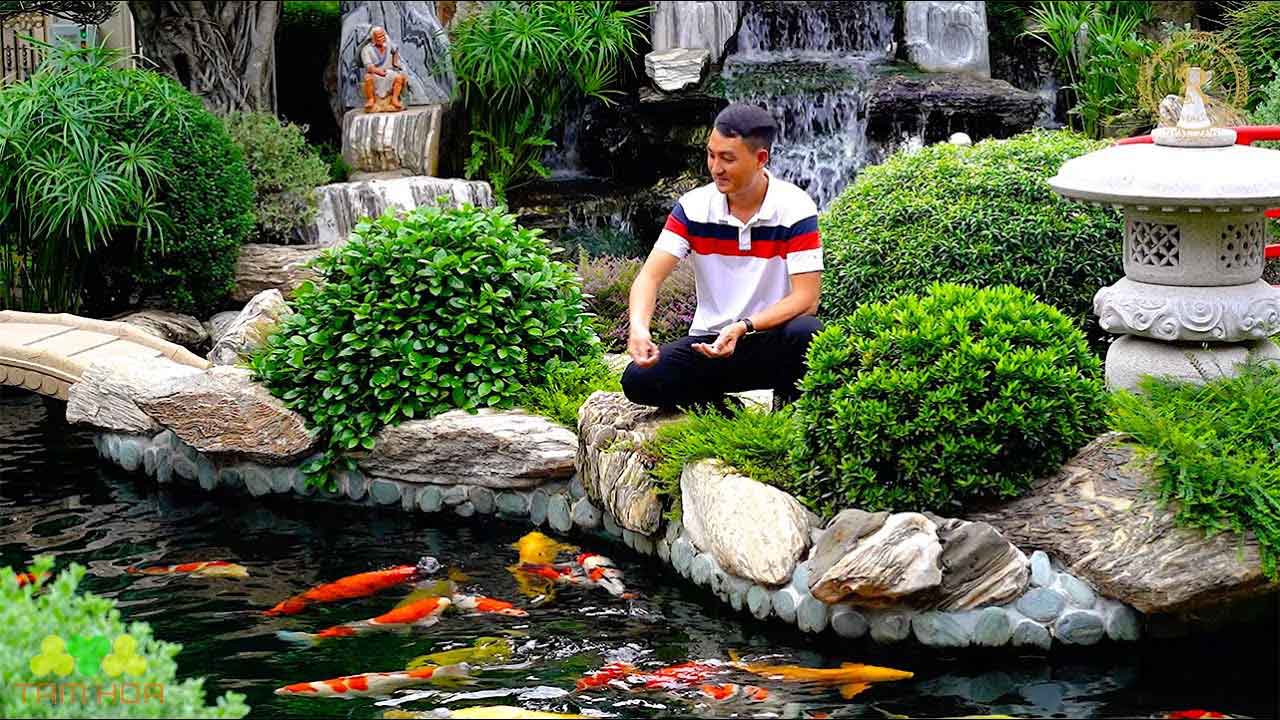 Tiểu cảnh hồ cá Koi kết hợp với hòn non bộ