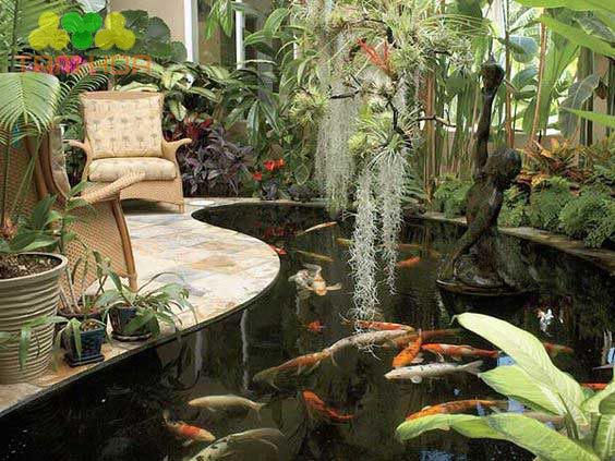 Tiểu cảnh hồ cá Koi mang đến không gian nghỉ ngơi sau một ngày làm việc